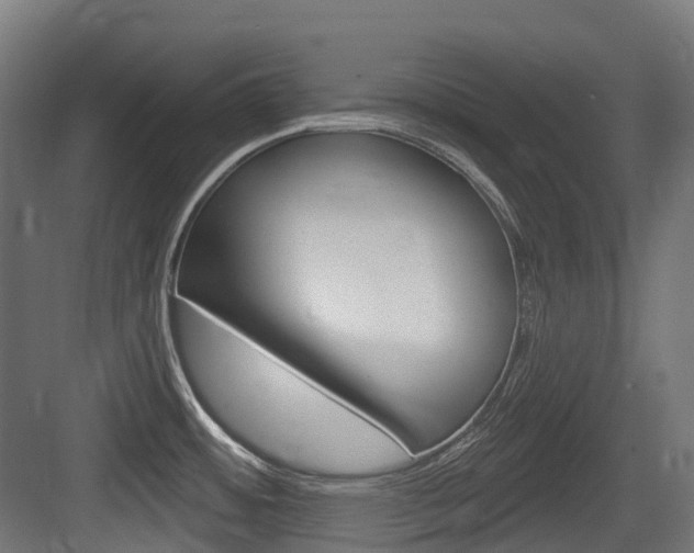 X0000083651484200702120823