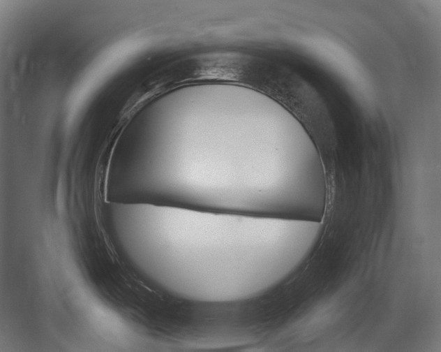 X0000083651487200702120823