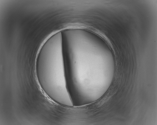 X0000083651488200702120823