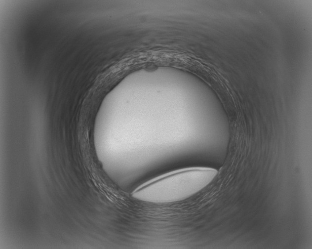 X0000083651489200702120822