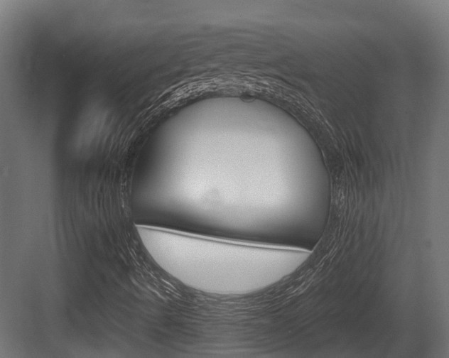 X0000083651490200702120822