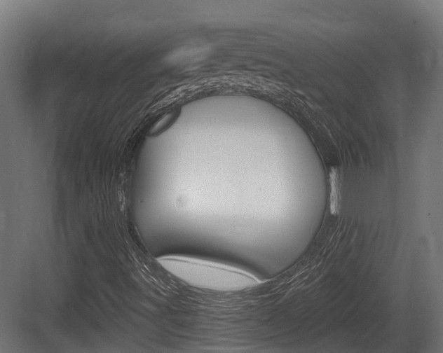 X0000083651491200702120822