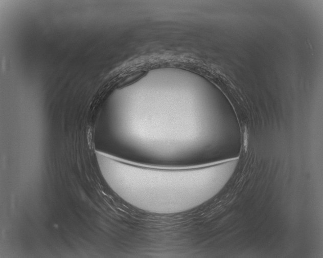 X0000083651492200702120822