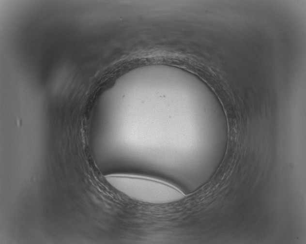 X0000083651493200702120822