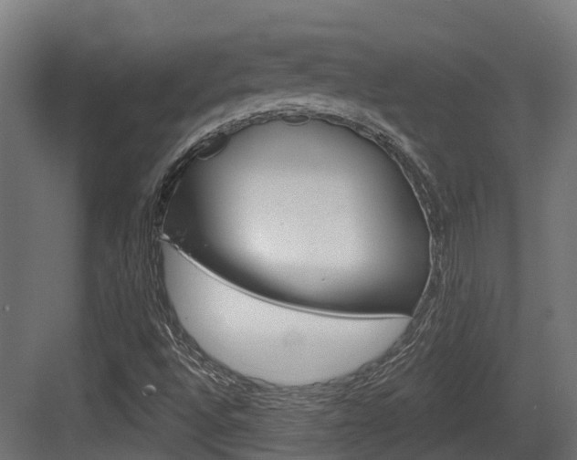 X0000083651496200702120822