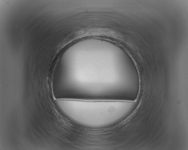 X0000083651497200702120822