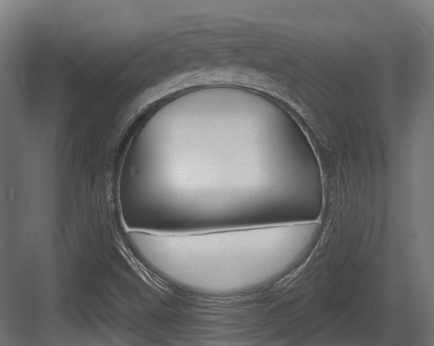 X0000083651499200702120823