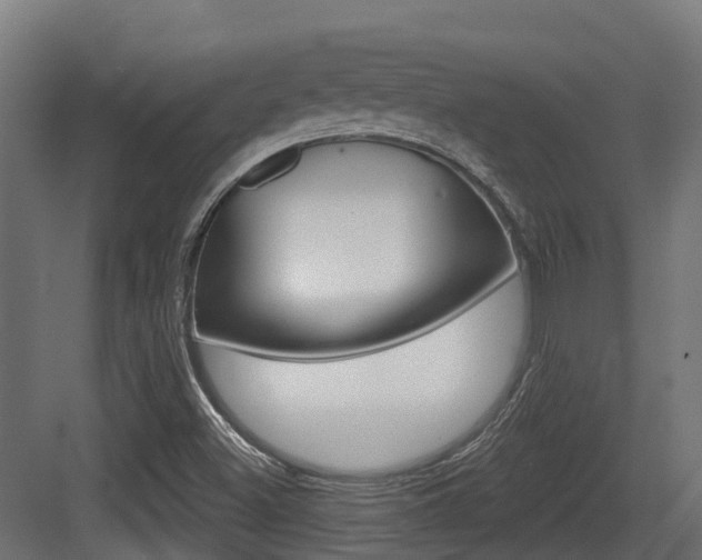 X0000083651500200702120823