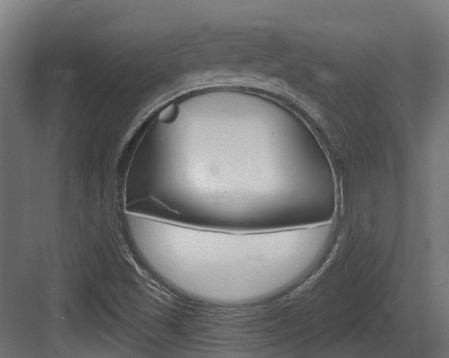 X0000083651501200702120823