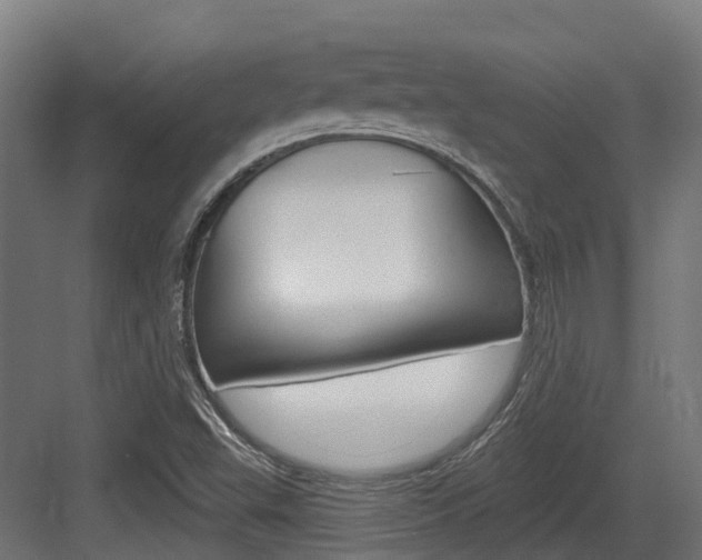 X0000083651503200702120823