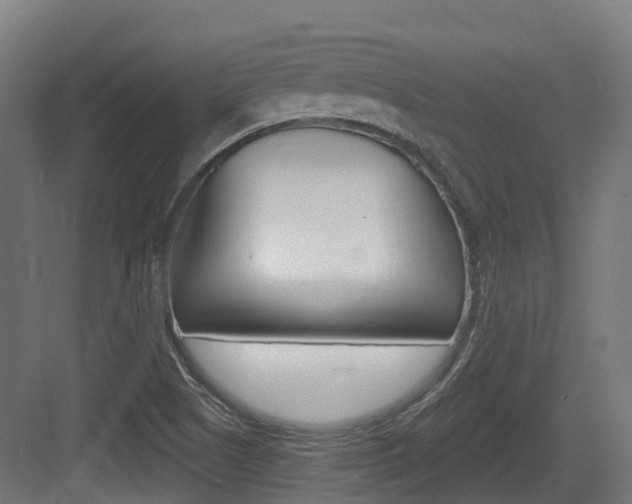 X0000083651505200702120823