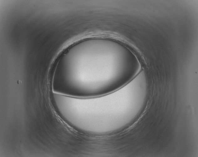 X0000083651506200702120823