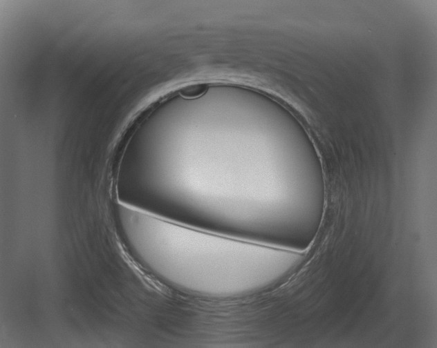 X0000083651507200702120823