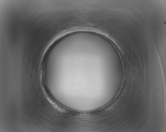X0000083651511200702120823