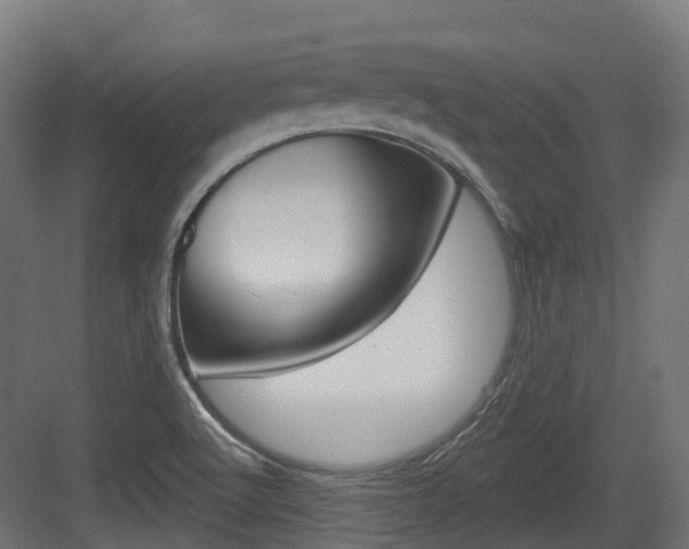 X0000083651512200702120823