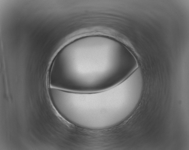 X0000083651516200702120823