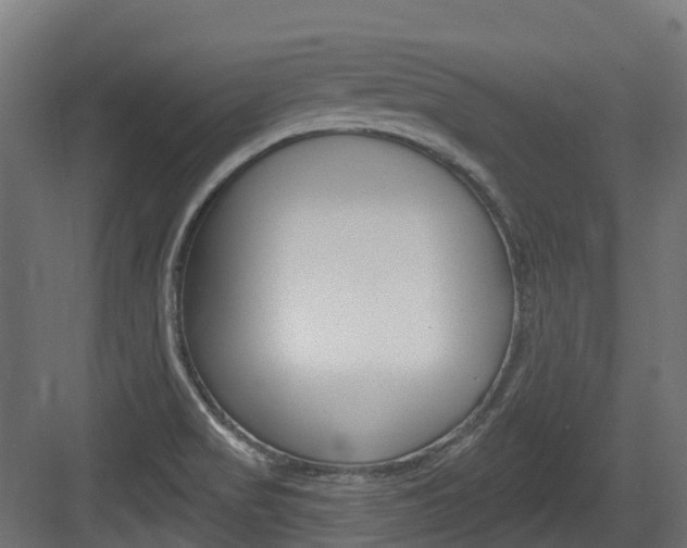 X0000083651517200702120823