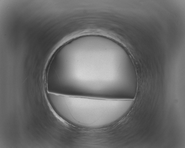X0000083651519200702120823