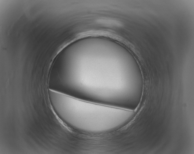 X0000083651521200702120823