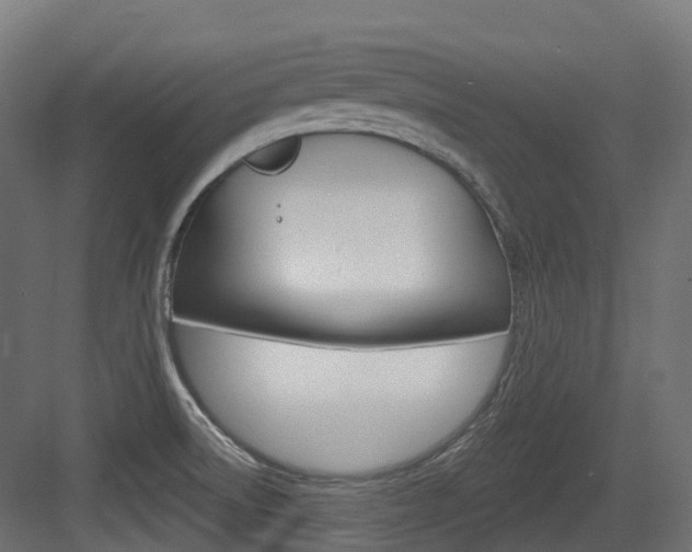 X0000083651522200702120823