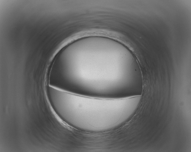 X0000083651523200702120823