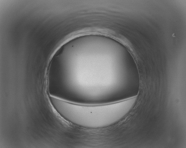 X0000083651524200702120823
