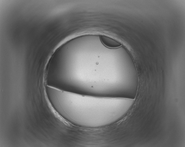 X0000083651526200702120823