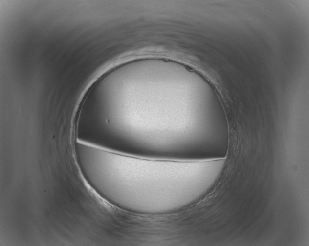 X0000083651527200702120823