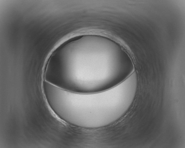 X0000083651528200702120823