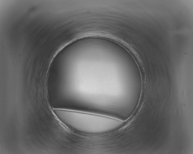 X0000083651529200702120823