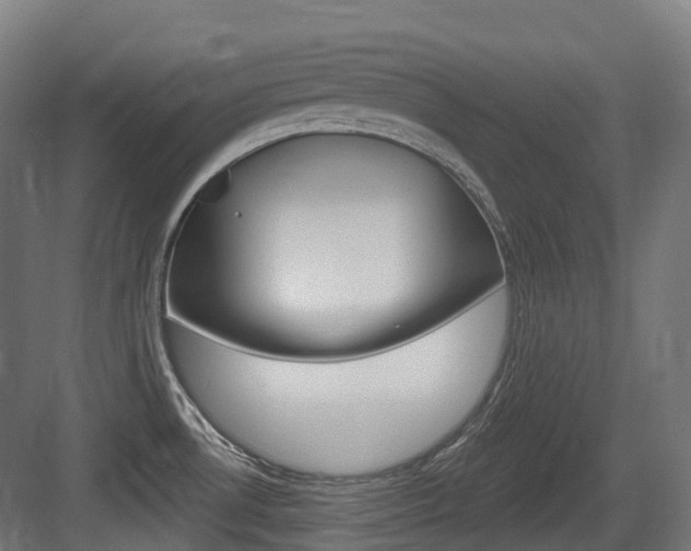 X0000083651530200702120823