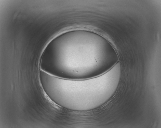 X0000083651532200702120823