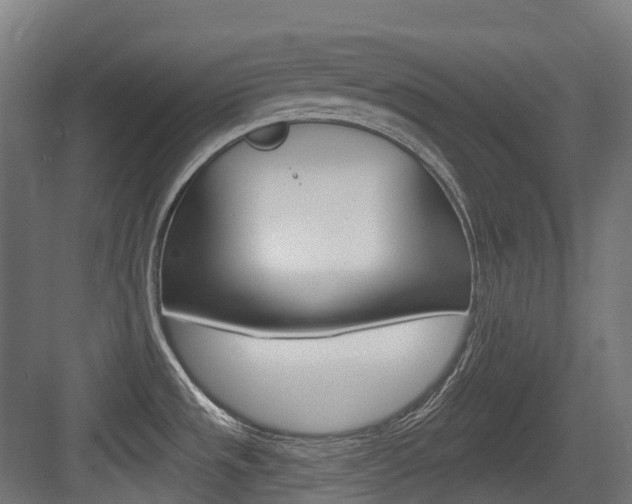 X0000083651533200702120823