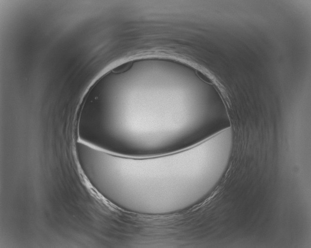 X0000083651534200702120823
