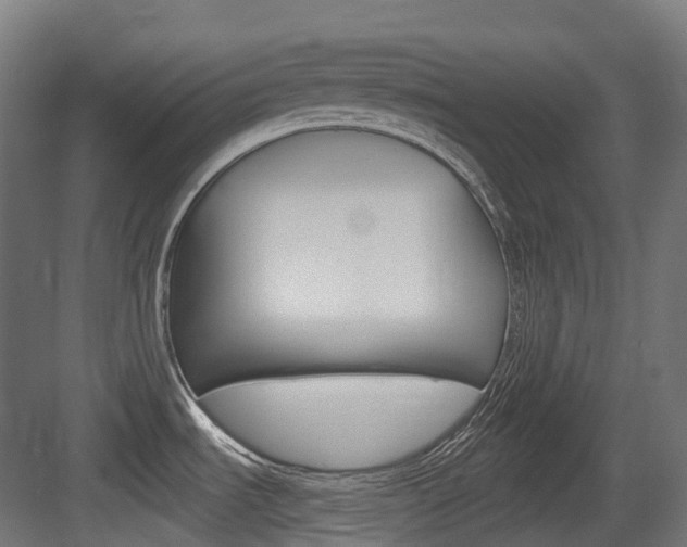 X0000083651535200702120823