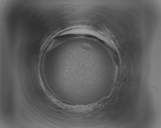 X0000083650001200702121202