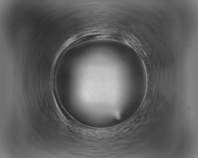 X0000083650003200702121202