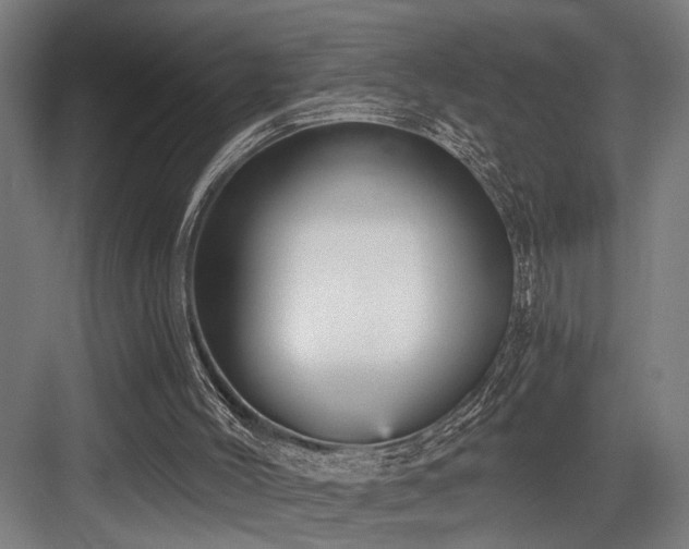 X0000083650004200702121202