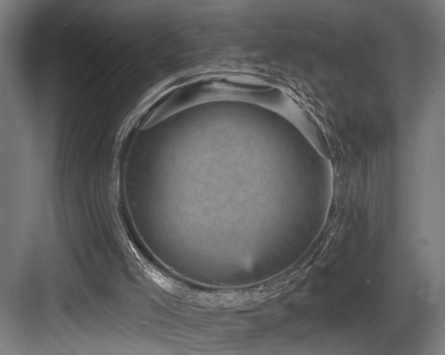X0000083650005200702121202