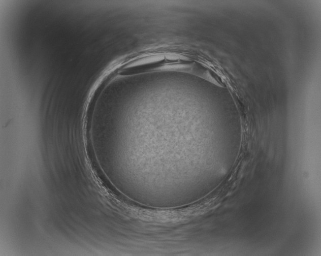 X0000083650006200702121202