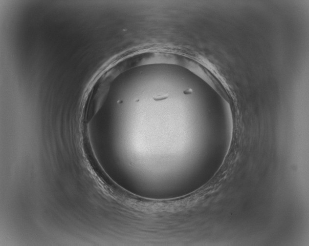 X0000083650007200702121202
