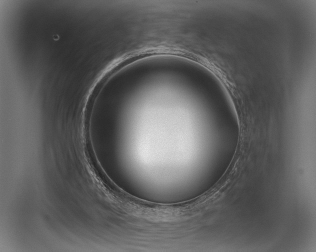 X0000083650008200702121202