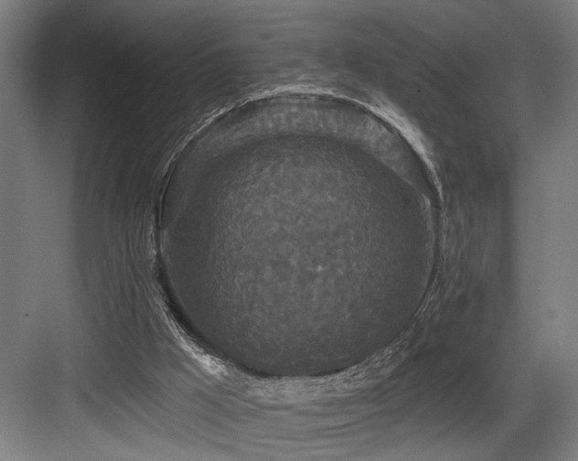 X0000083650009200702121202