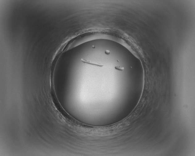 X0000083650011200702121202