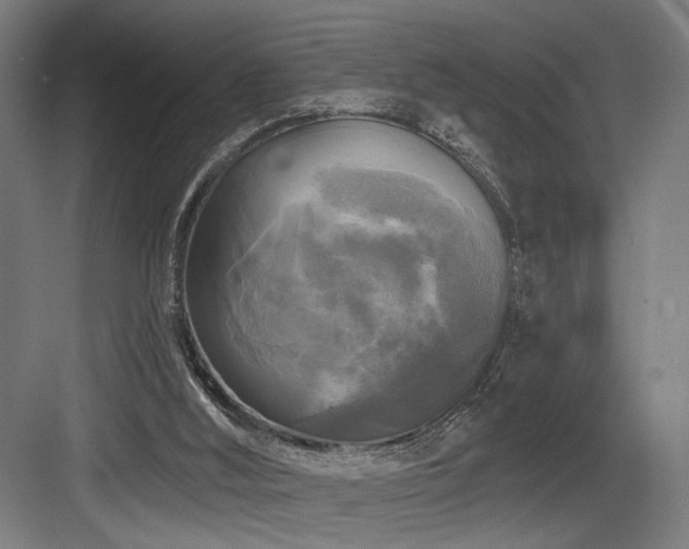 X0000083650012200702121202