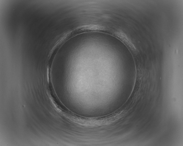 X0000083650014200702121202