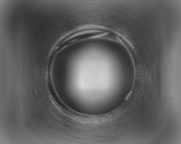X0000083650015200702121202