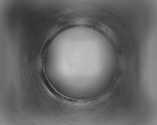 X0000083650016200702121202