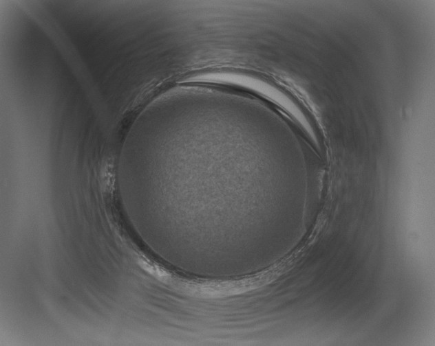 X0000083650017200702121202