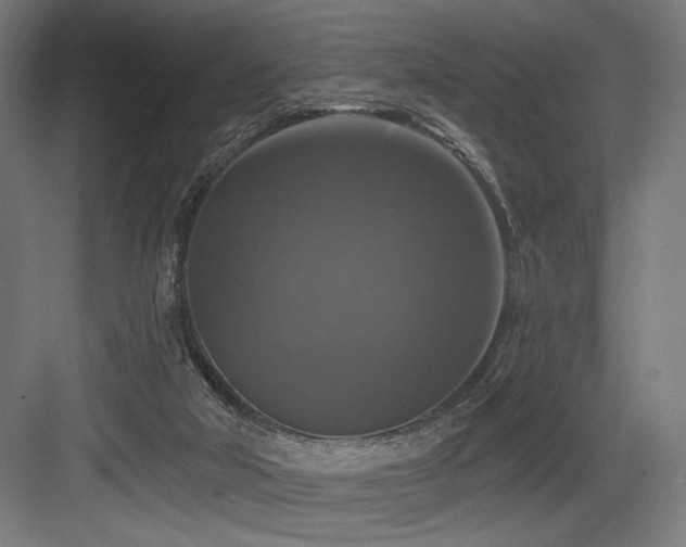 X0000083650018200702121202